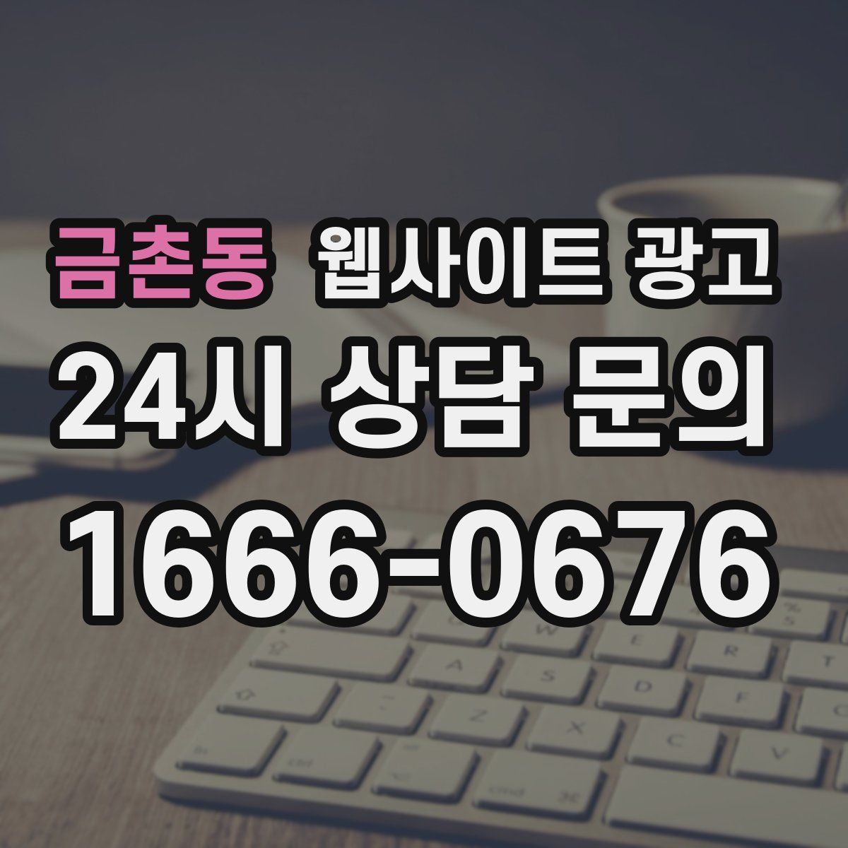 금촌동 웹사이트 광고