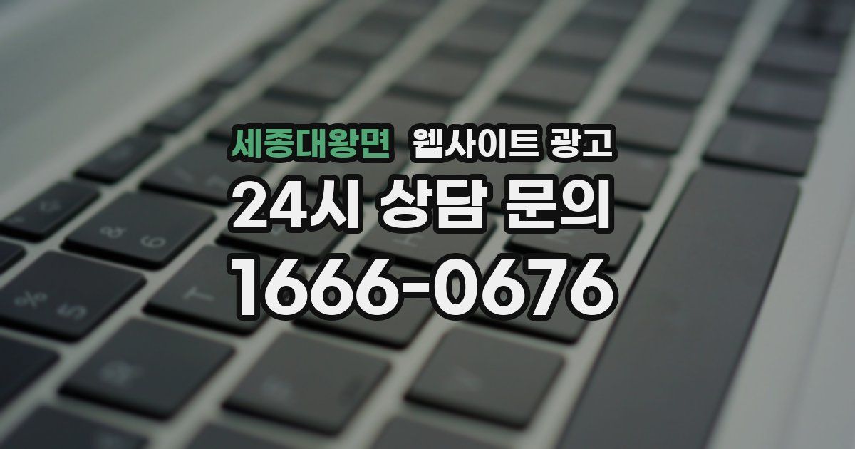 세종대왕면 웹사이트 광고
