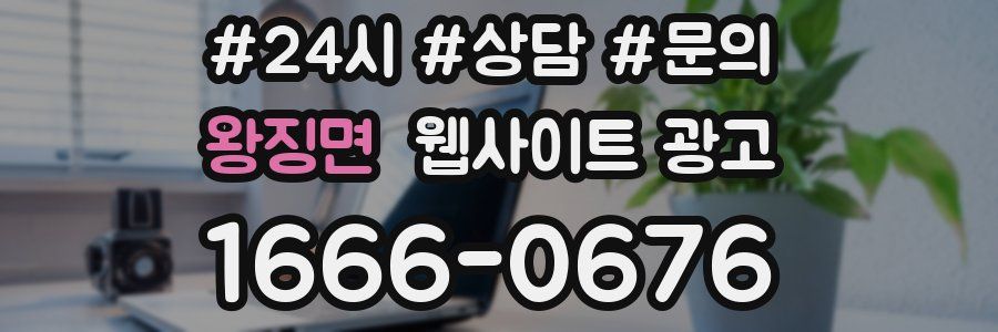 왕징면 웹사이트 광고