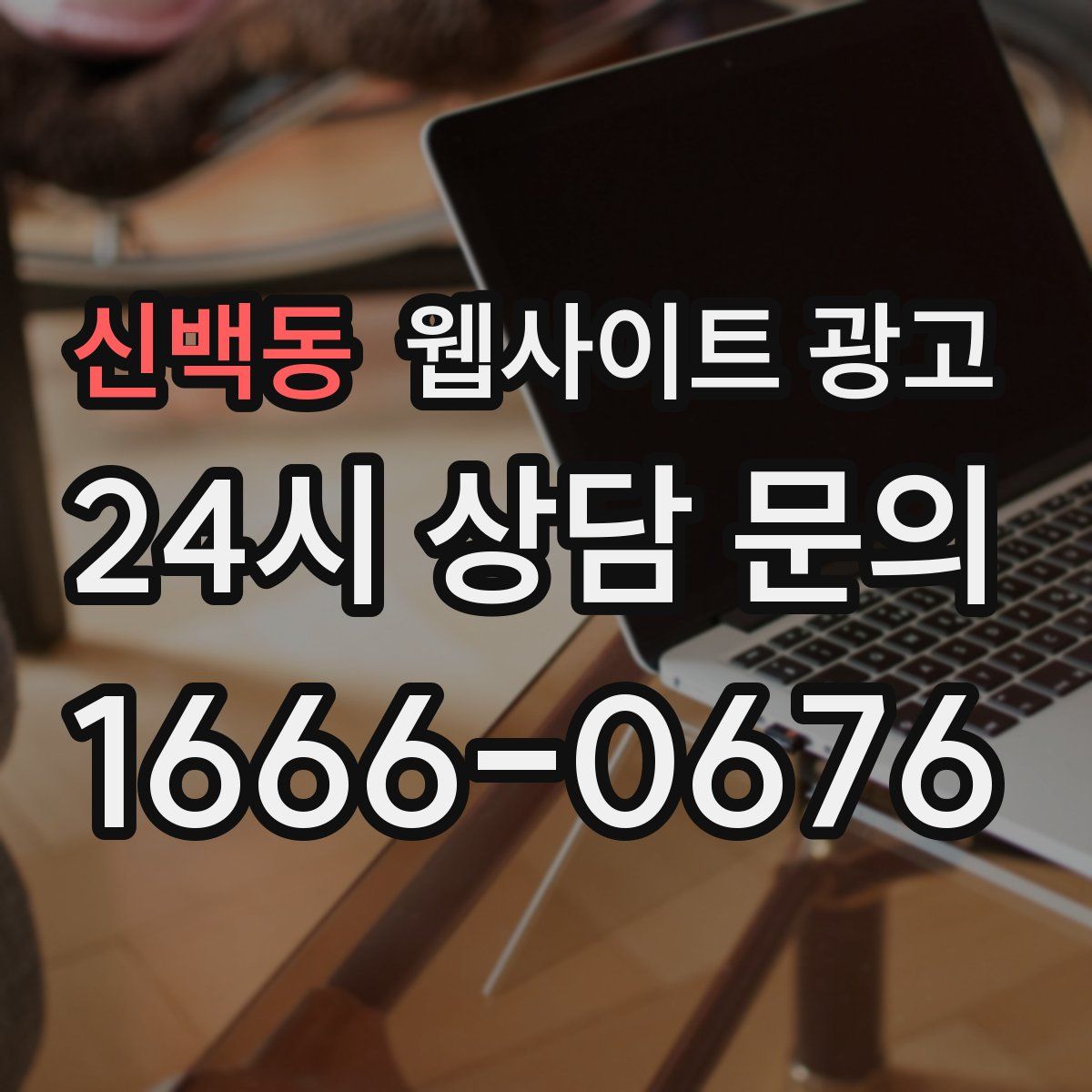 신백동 웹사이트 광고