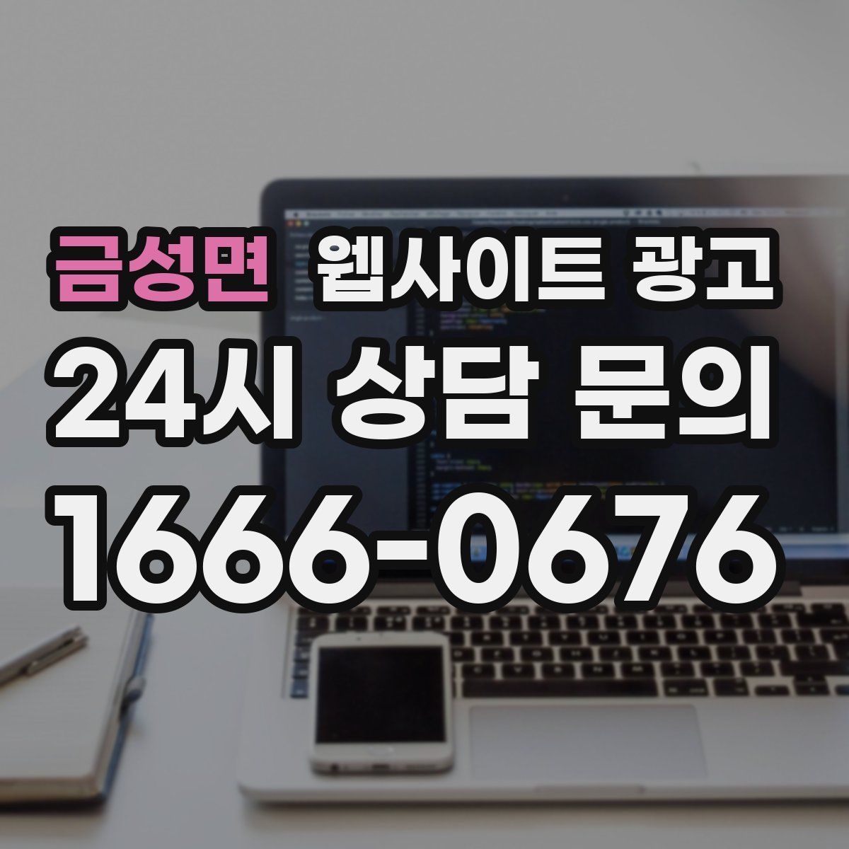 금성면 웹사이트 광고