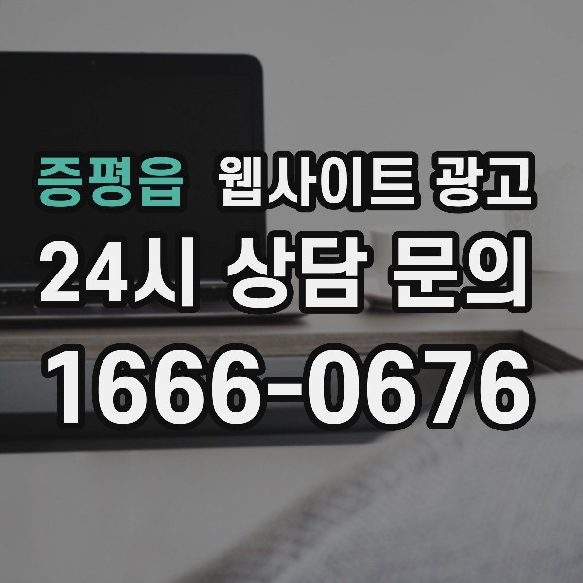 증평읍 웹사이트 광고 시 군 구 동 단위로 페이지를 나누는 기준