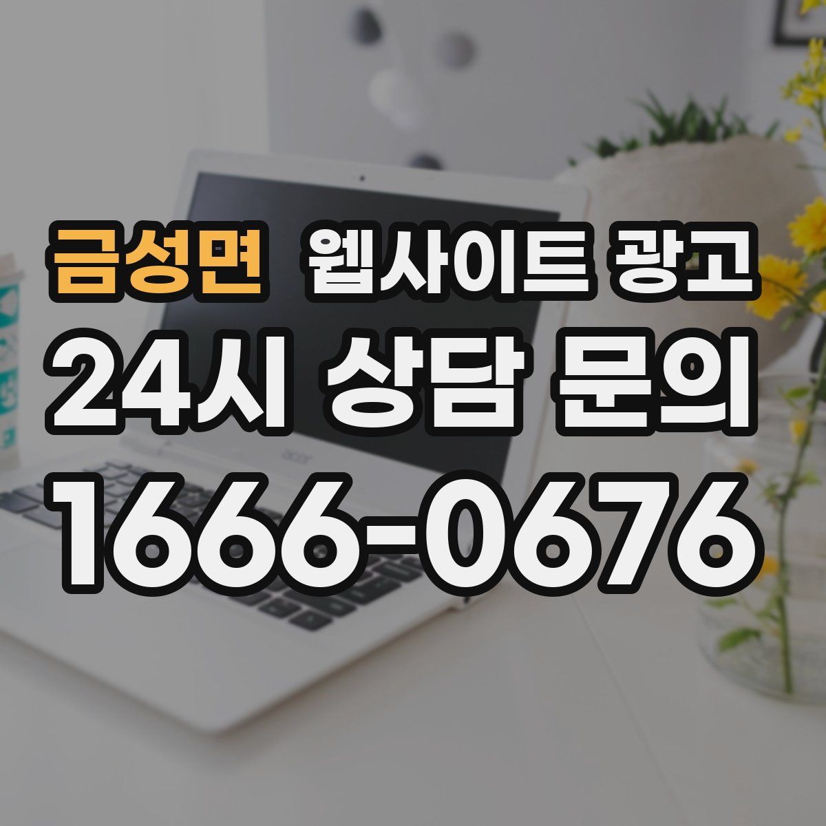 금성면 웹사이트 광고