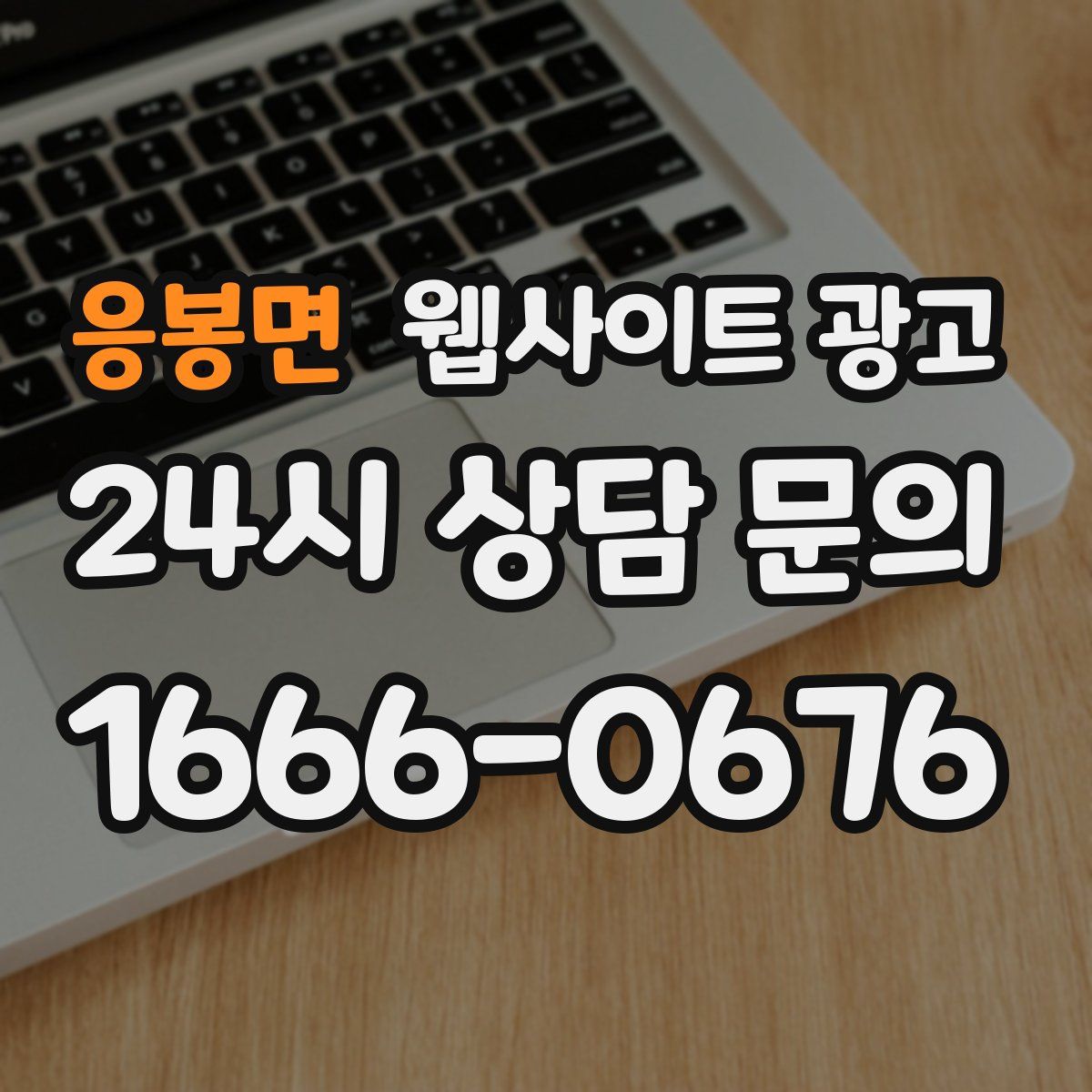 응봉면 웹사이트 광고