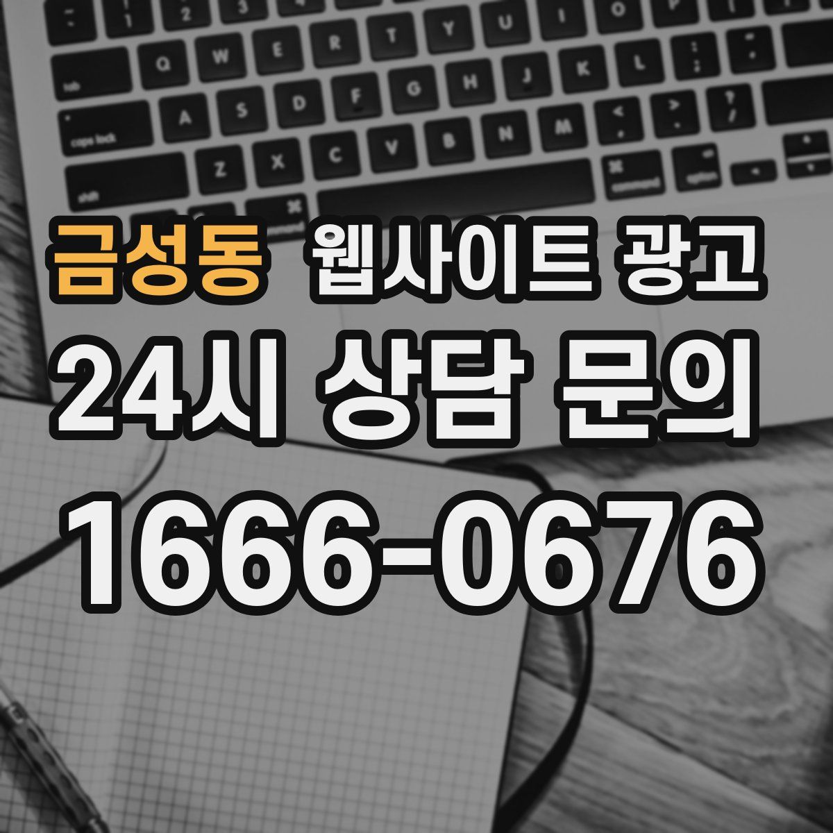 금성동 웹사이트 광고