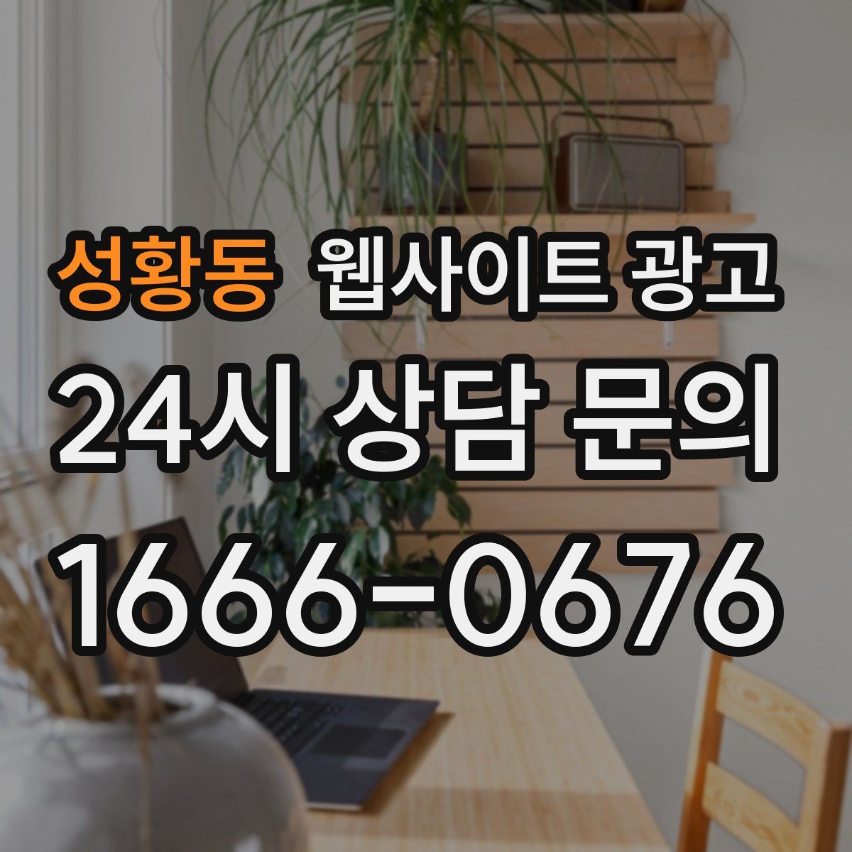 성황동 웹사이트 광고