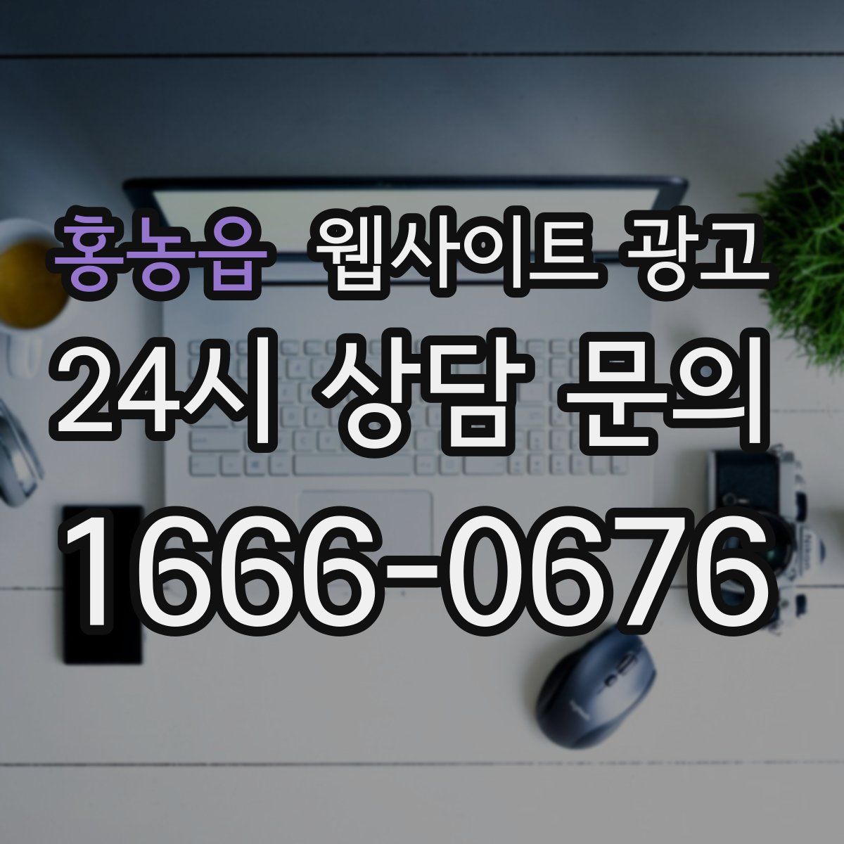 홍농읍 웹사이트 광고