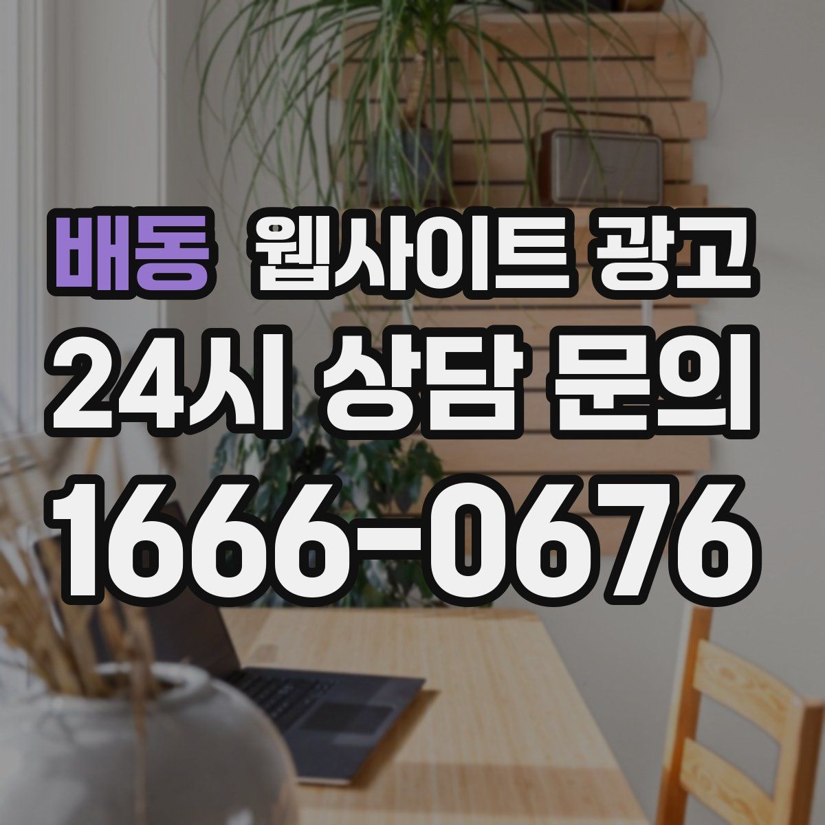 배동 웹사이트 광고