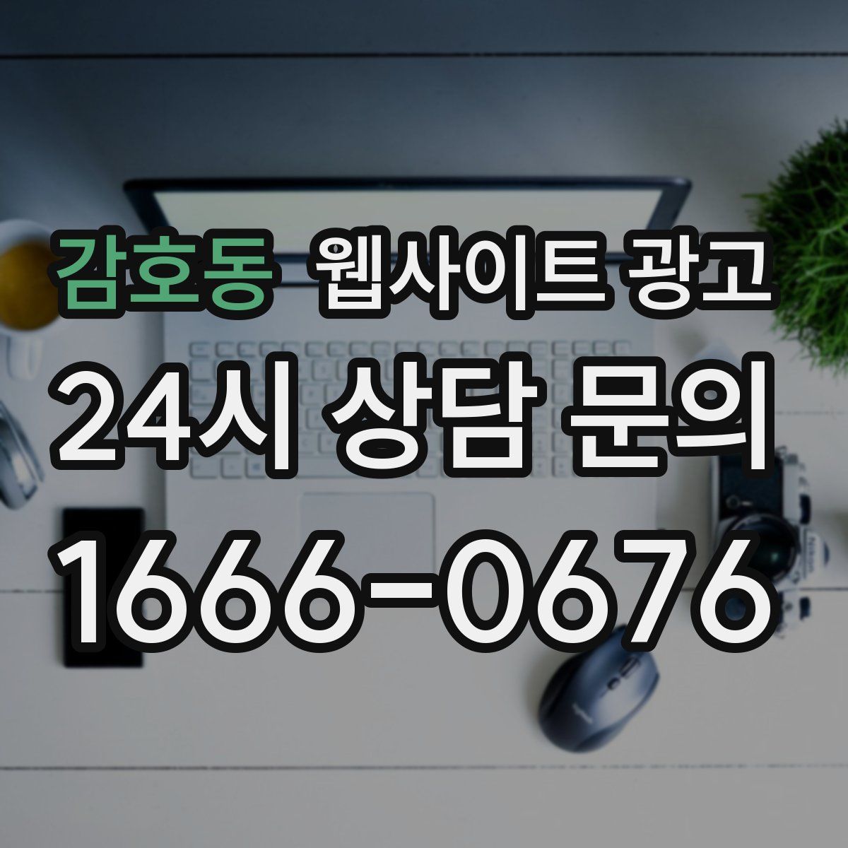 감호동 웹사이트 광고