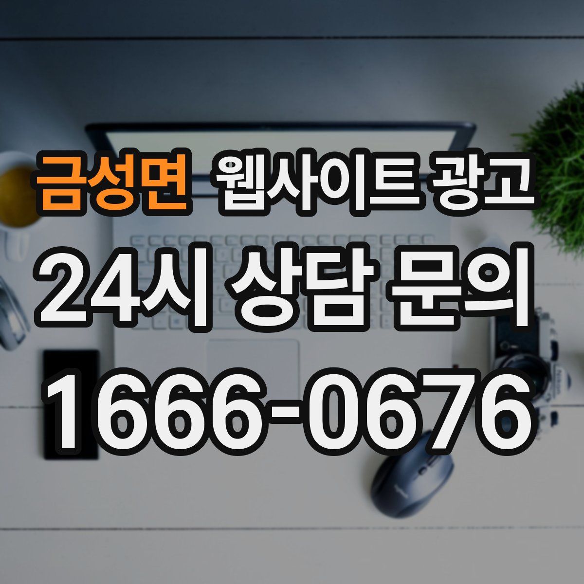 금성면 웹사이트 광고