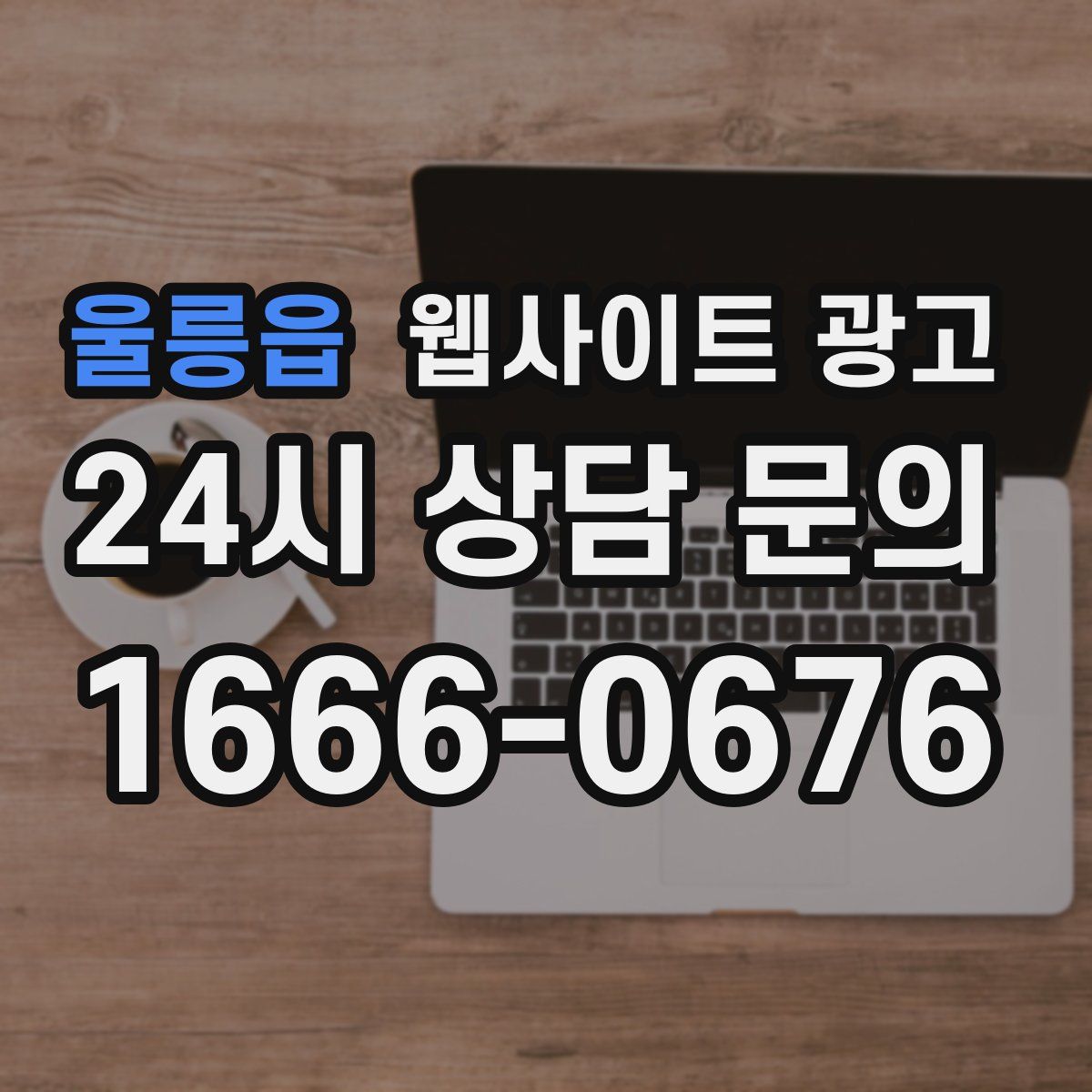 울릉읍 웹사이트 광고