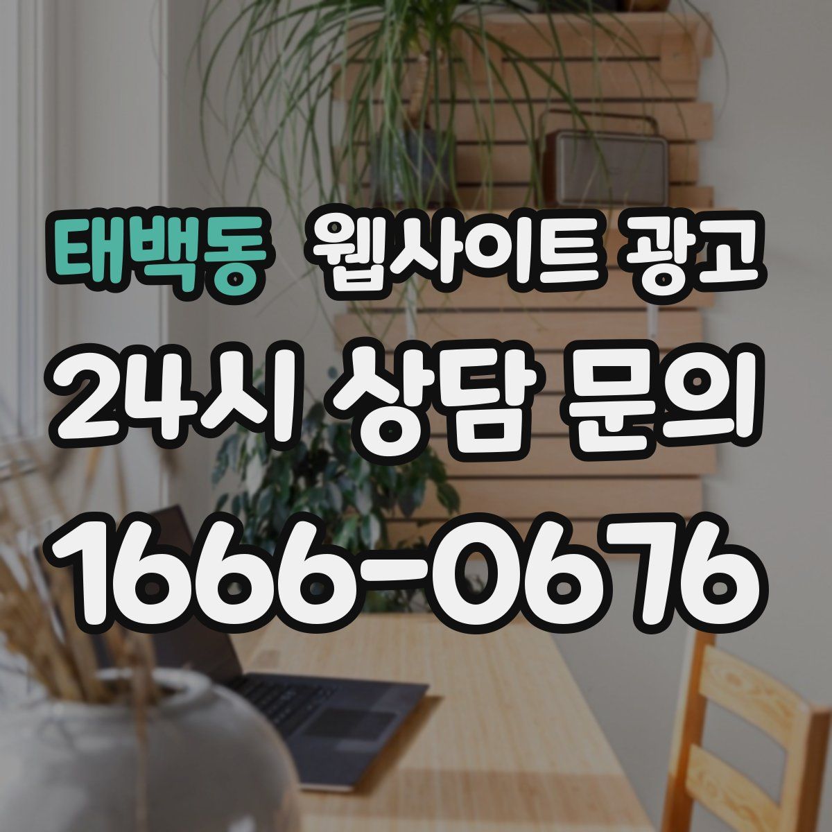 태백동 웹사이트 광고