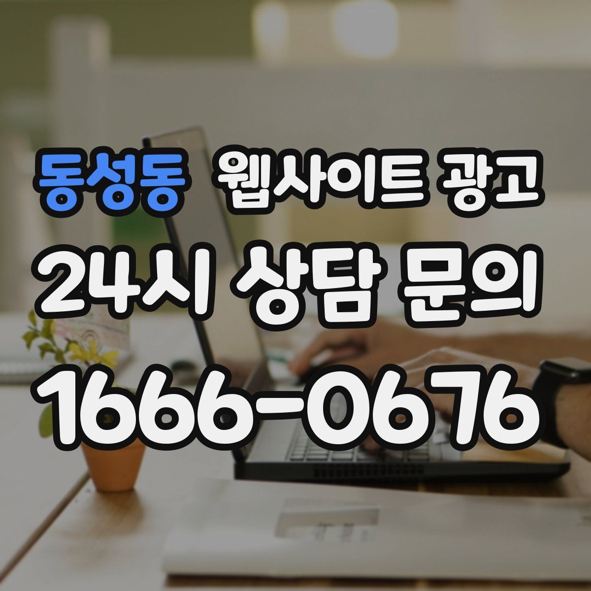 동성동 웹사이트 광고