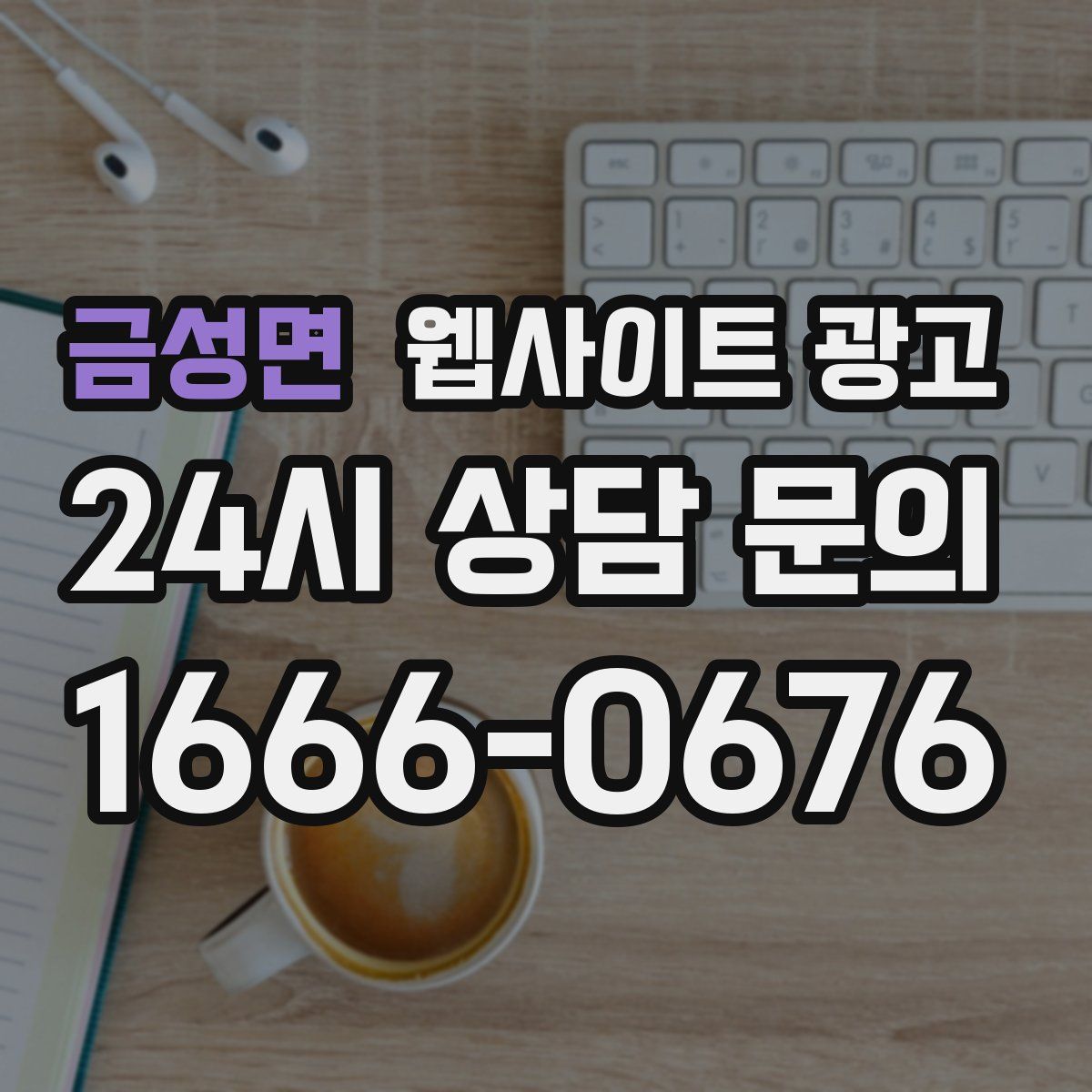 금성면 웹사이트 광고