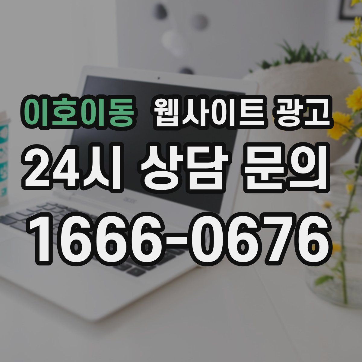 이호이동 웹사이트 광고