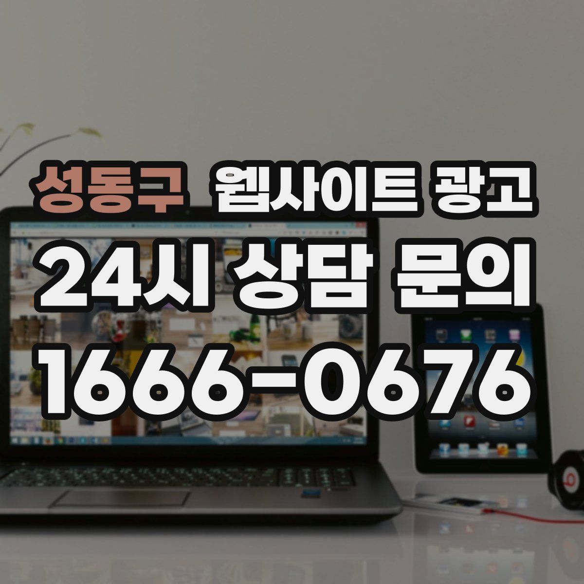 성동구 웹사이트 광고