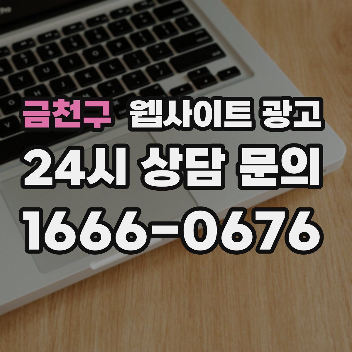 금천구 웹사이트 광고