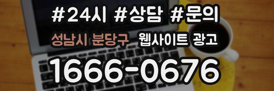 성남시 분당구 웹사이트 광고