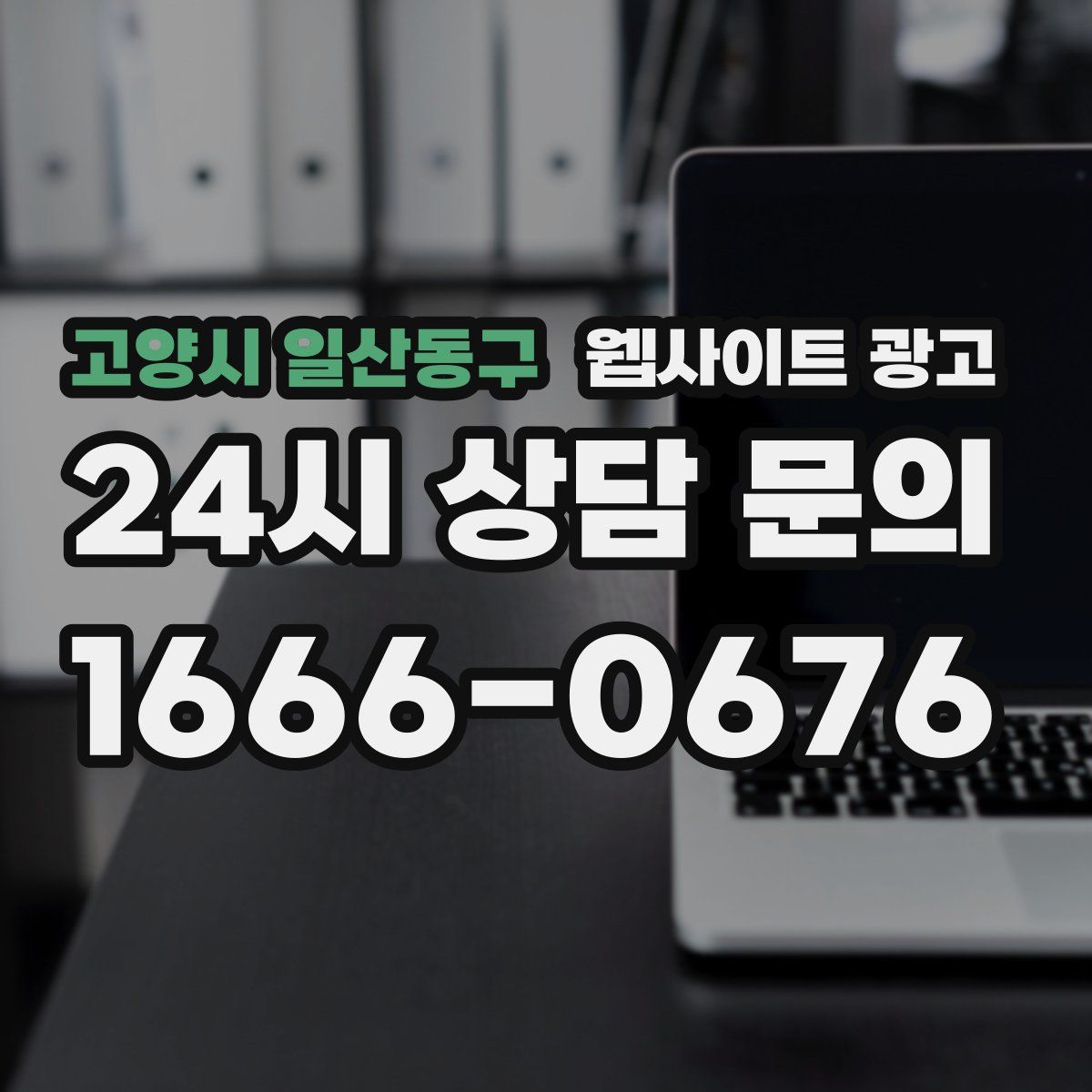 고양시 일산동구 웹사이트 광고