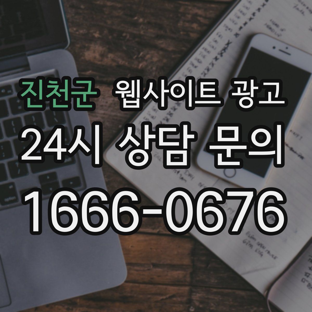 진천군 웹사이트 광고