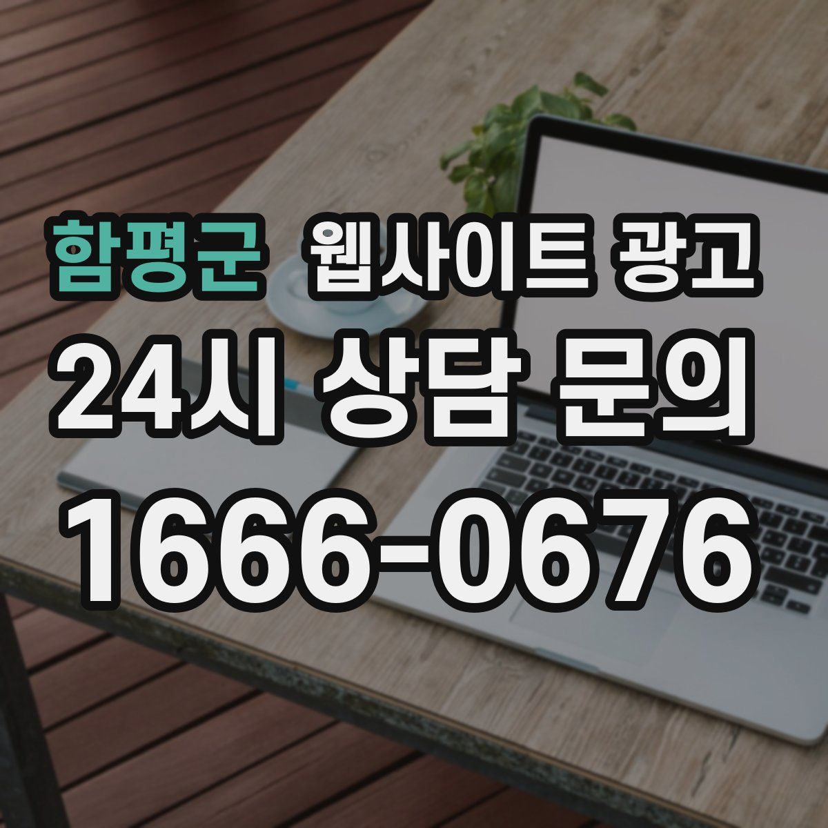함평군 웹사이트 광고