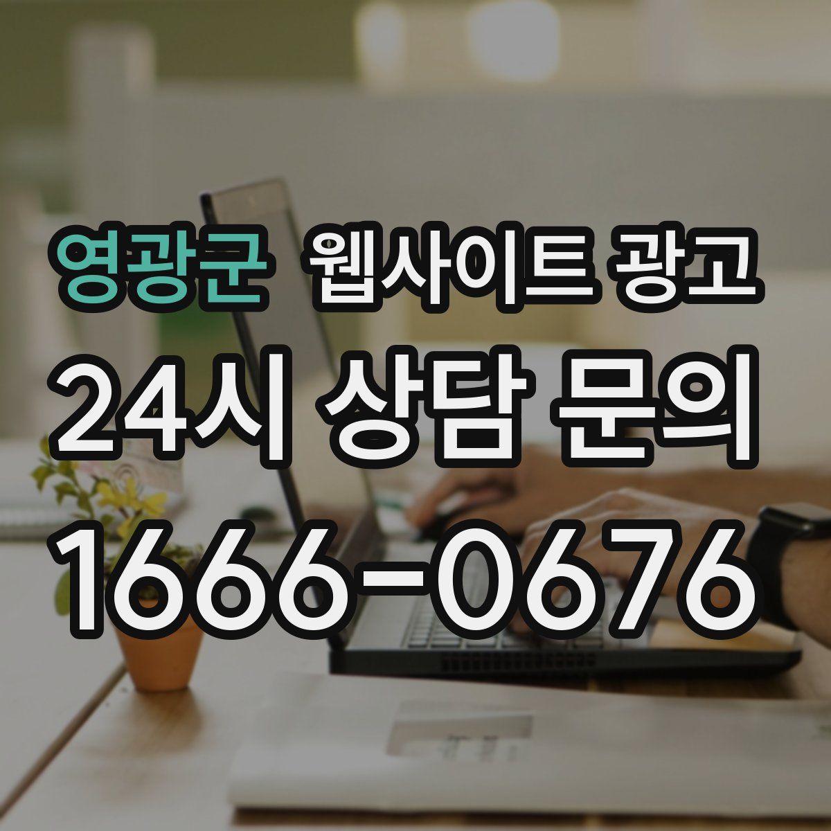 영광군 웹사이트 광고