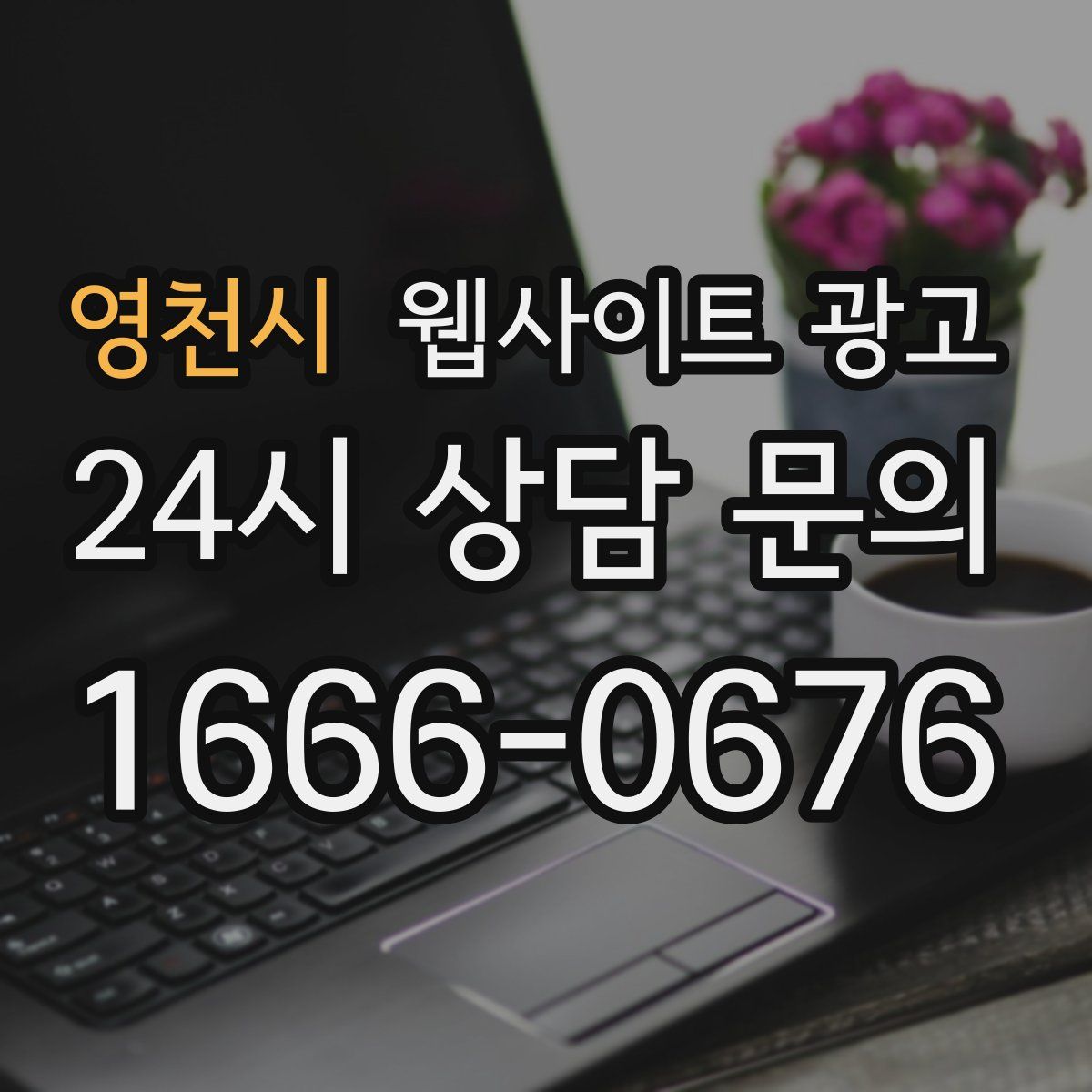 영천시 웹사이트 광고