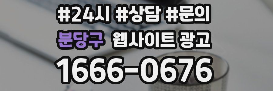 분당구 웹사이트 광고