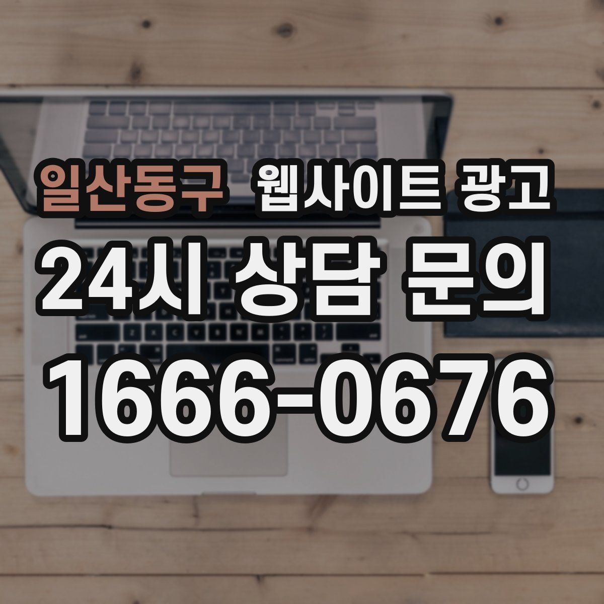 일산동구 웹사이트 광고