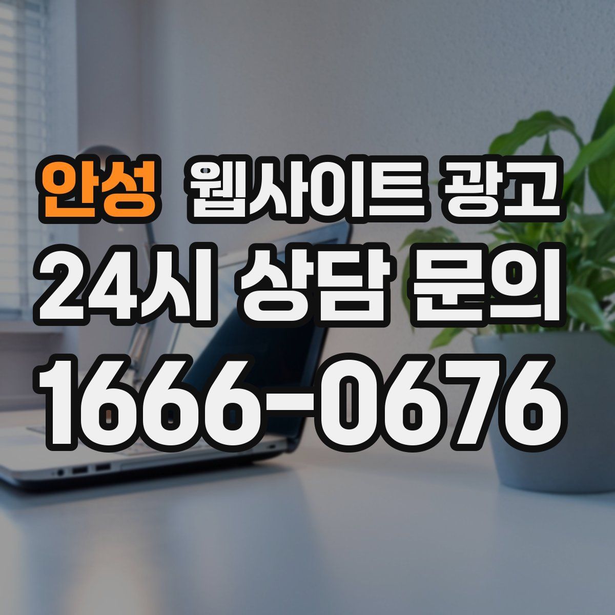 안성 웹사이트 광고