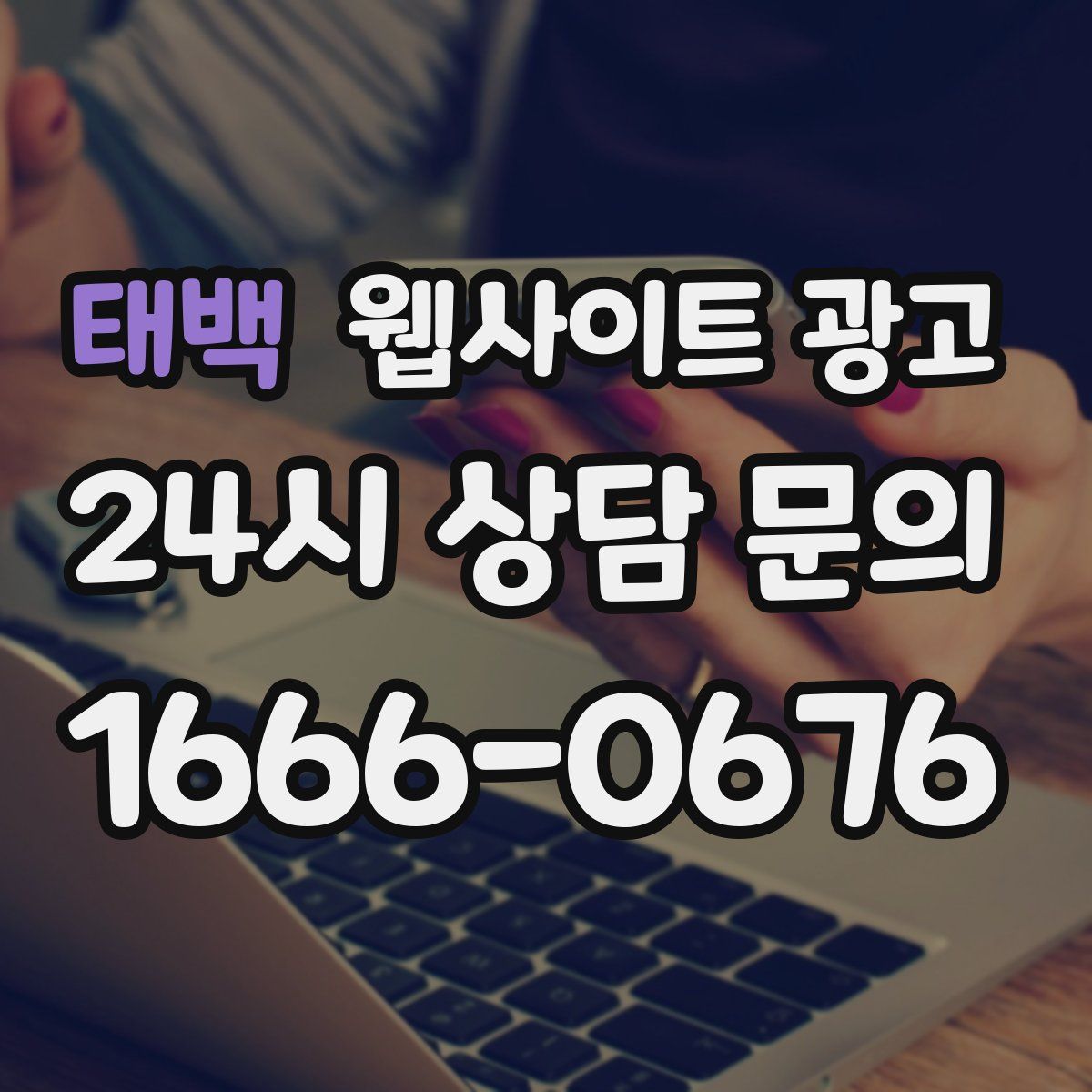 태백 웹사이트 광고