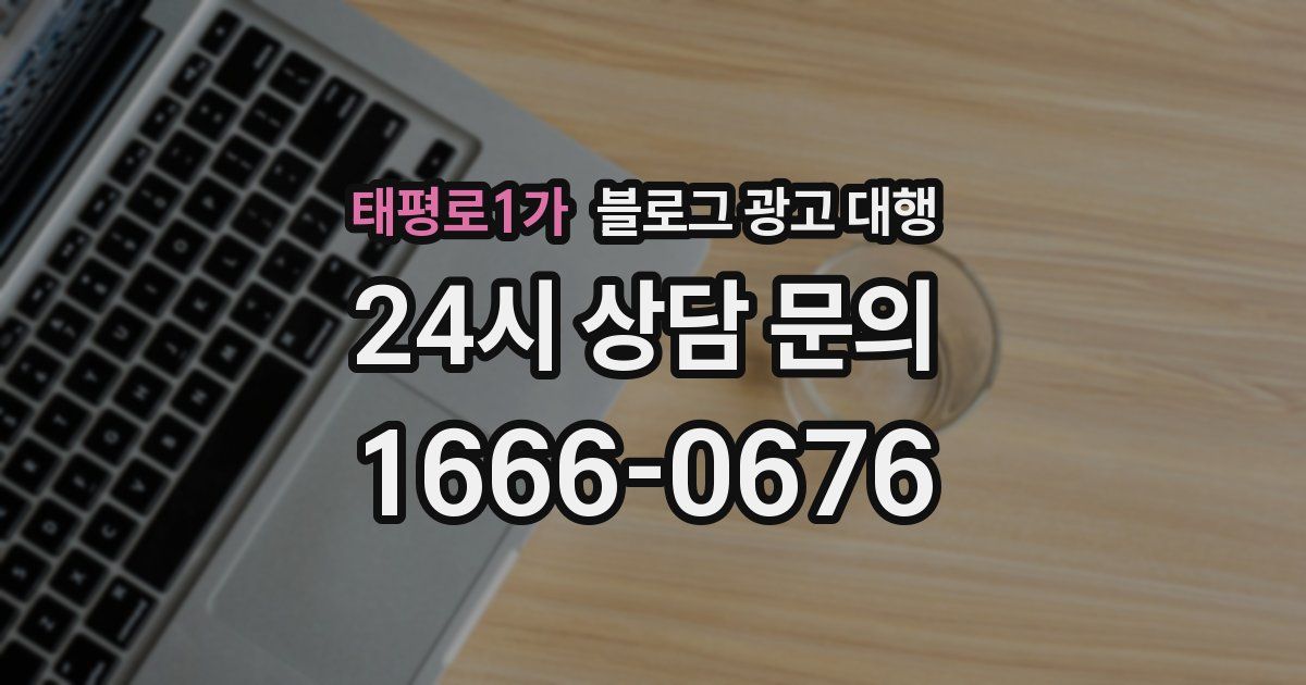 태평로1가 블로그 광고 대행