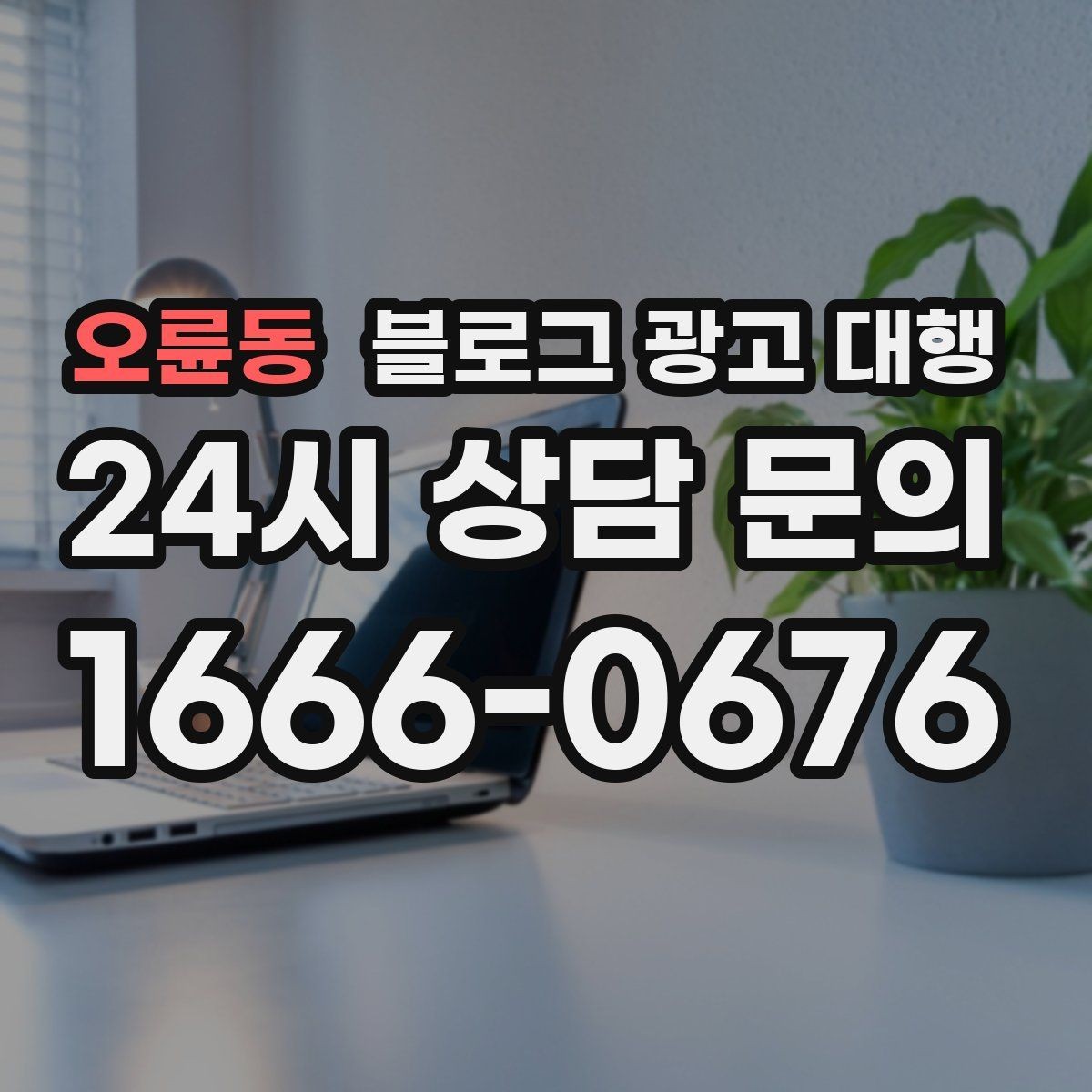 오륜동 블로그 광고 대행 맡기기 전 참고할 운영 사례