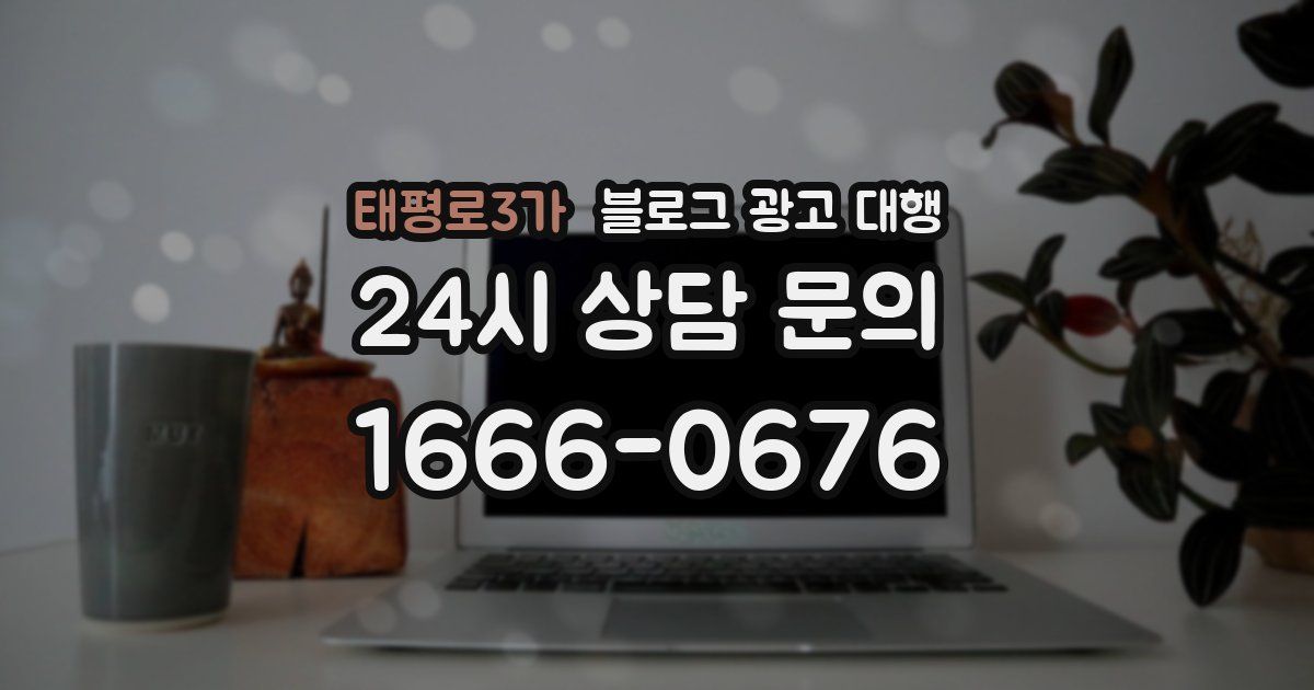 태평로3가 블로그 광고 대행