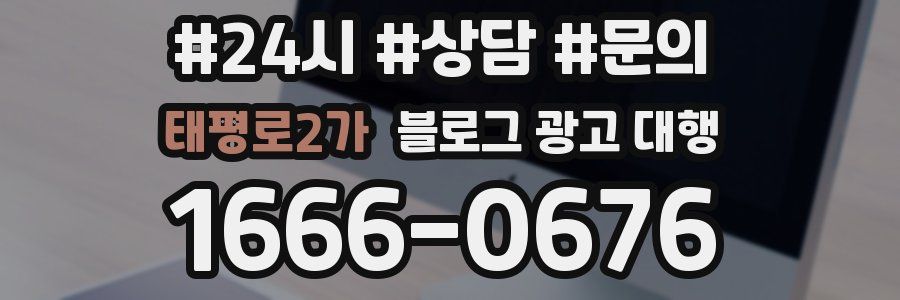 태평로2가 블로그 광고 대행