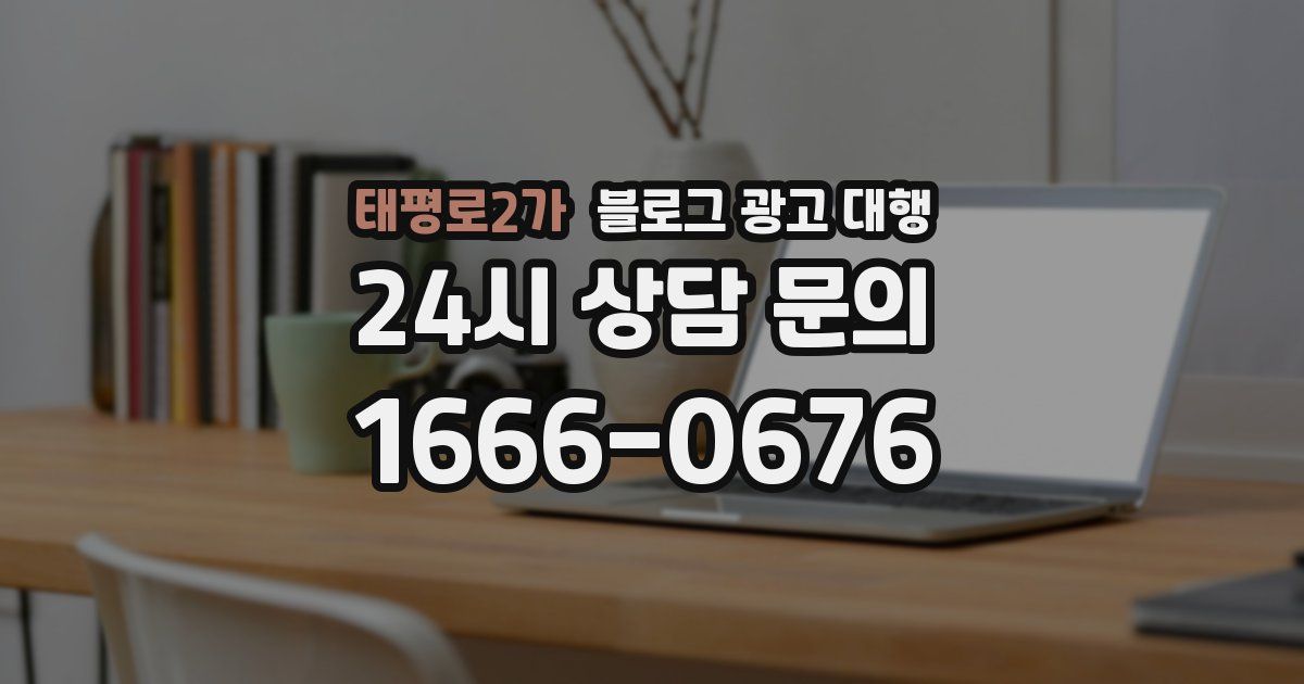 태평로2가 블로그 광고 대행
