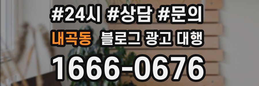 내곡동 블로그 광고 대행