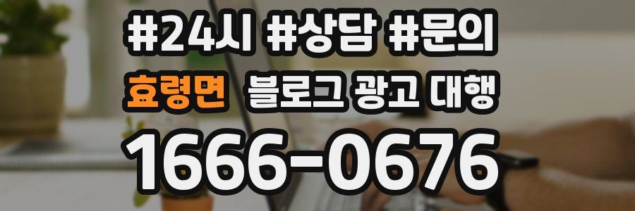효령면 블로그 광고 대행