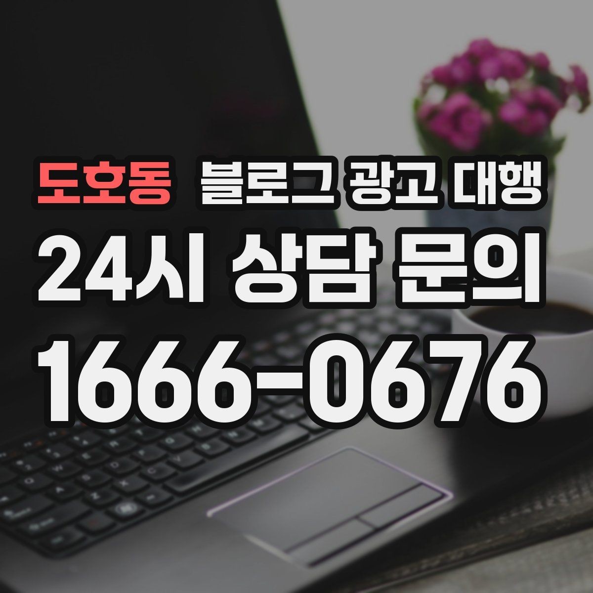 도호동 블로그 광고 대행 선택할 때 먼저 확인할 기준