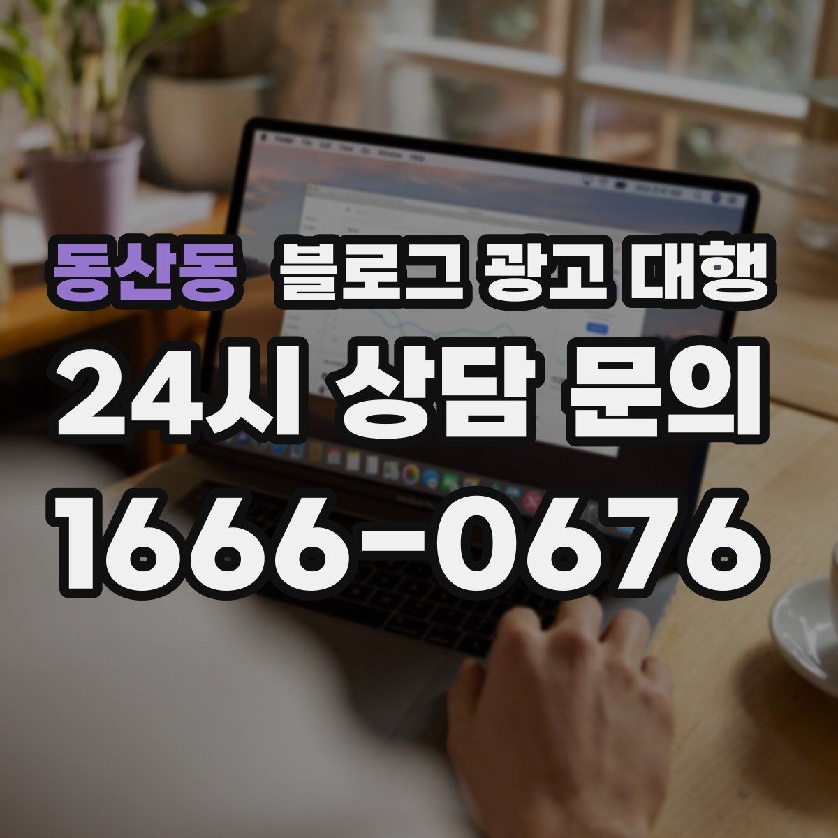 동산동 블로그 광고 대행 서비스 구성은 어떻게 확인할까