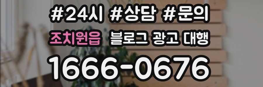 조치원읍 블로그 광고 대행