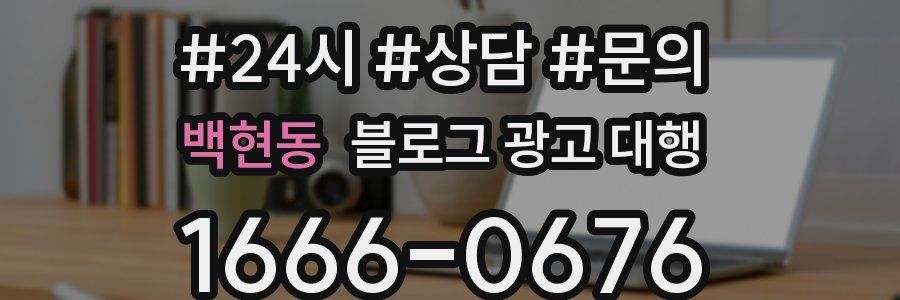 백현동 블로그 광고 대행