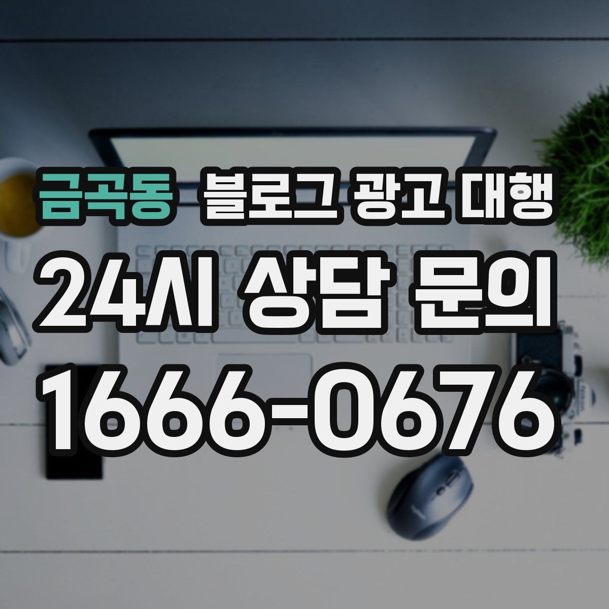금곡동 블로그 광고 대행 비용과 서비스 구성을 함께 보는 이유