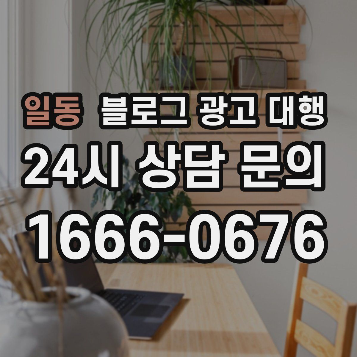 일동 블로그 광고 대행
