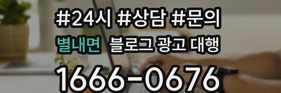 별내면 블로그 광고 대행