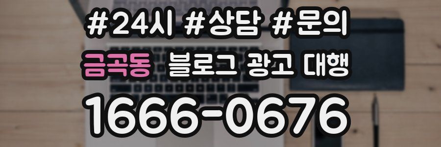 금곡동 블로그 광고 대행