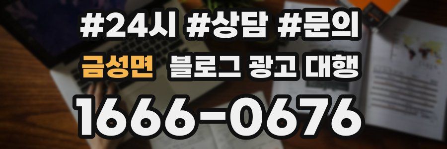 금성면 블로그 광고 대행