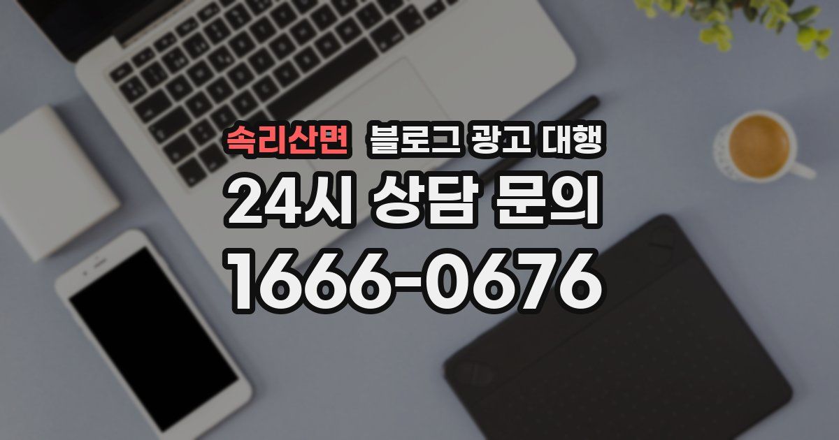 속리산면 블로그 광고 대행