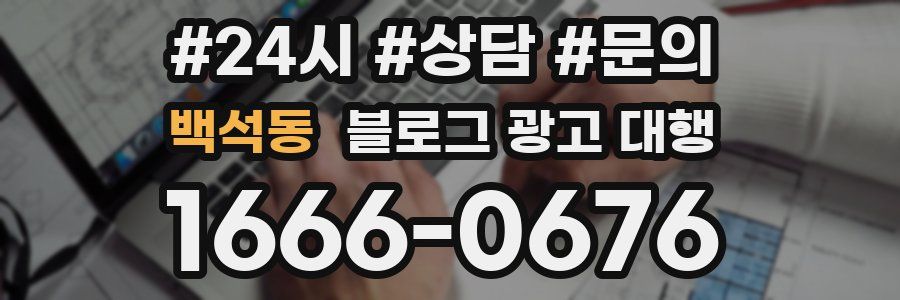 백석동 블로그 광고 대행