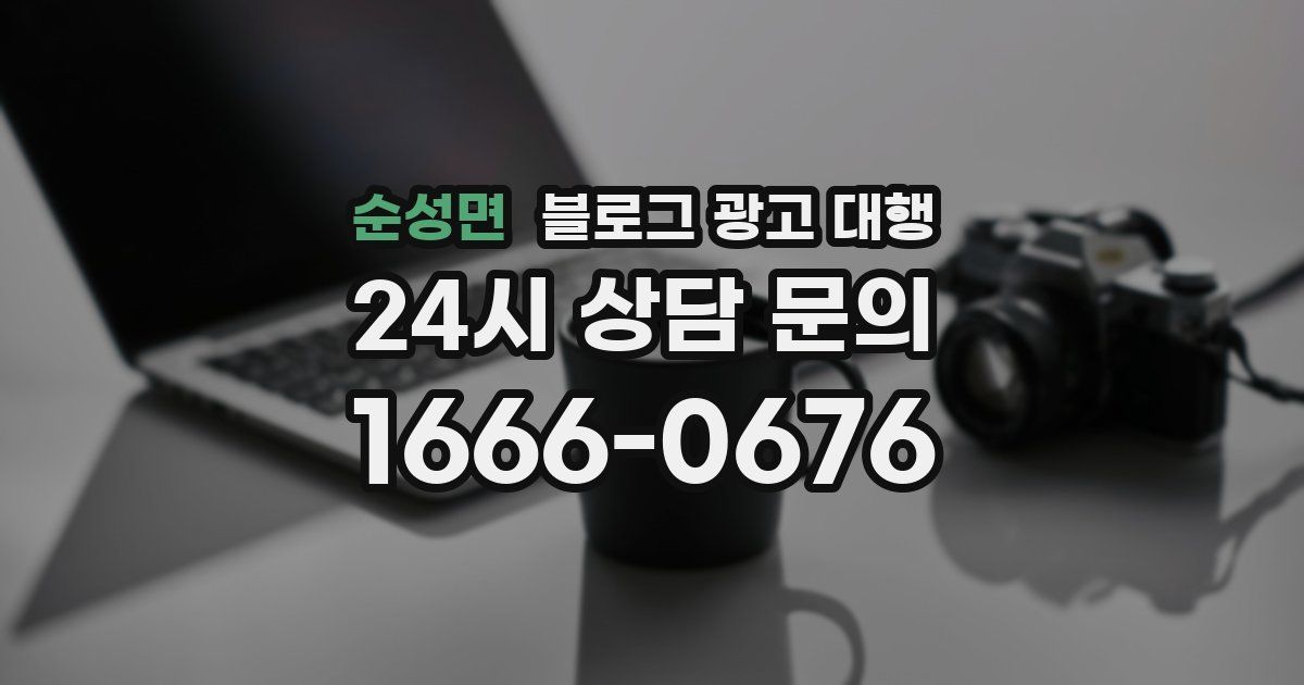 순성면 블로그 광고 대행